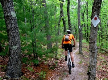 mountain_bike-Trail.jpg