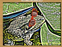 sunfrog2.jpg