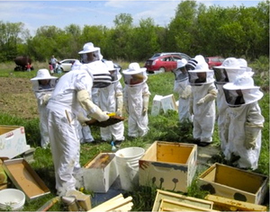 buzzing-a-hive-aapsef-grant.jpg