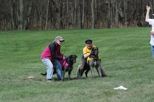 Bradley-Nelson-and-Deb-Hughes-with-Balor-and-Singr-Sighthounds-AAAH.jpg