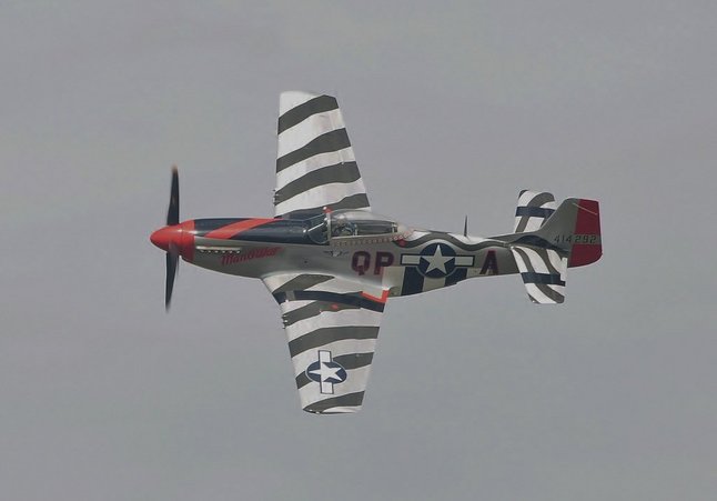 P51.jpg