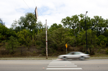 crosswalkcar.jpg