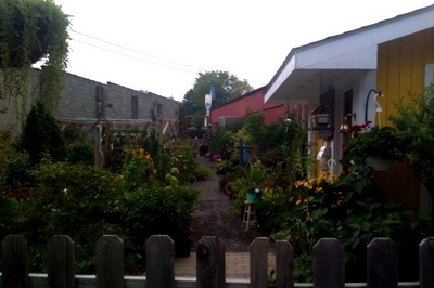 photo-001.JPG