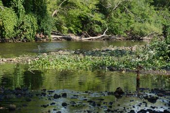 082912_Huron_River_Clean_Up_MRM.jpg