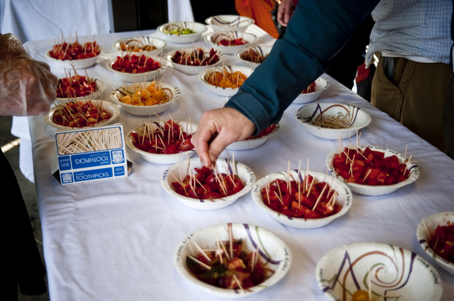 09082012_ENT_HomegrownFest_JT_07.JPG