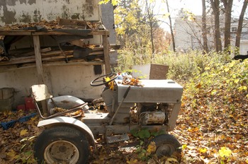 1030_Dexter_1.jpg
