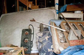 1030_Dexter_2.jpg