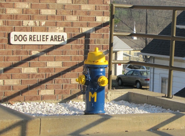 UM-firehydrant.jpg