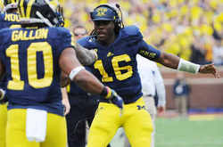 denard-cap-gallon.jpg