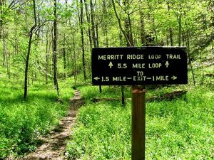 which-path.jpg