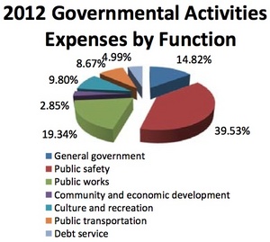 Ann_Arbor_expenses2011-12.jpg