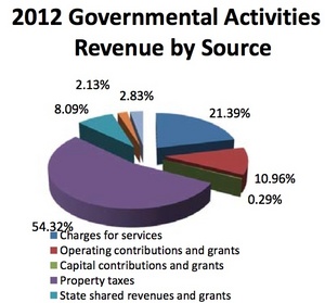 Ann_Arbor_revenue2011-12.jpg