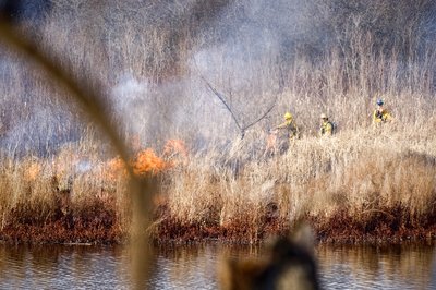 111811_Controlled-Burn_2.JPG