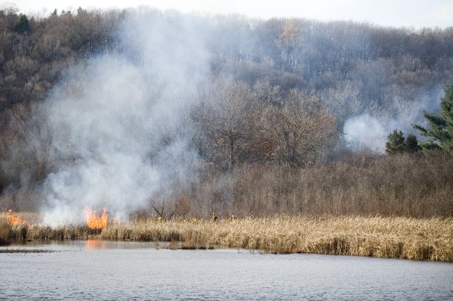 111811_Controlled_Burn.JPG
