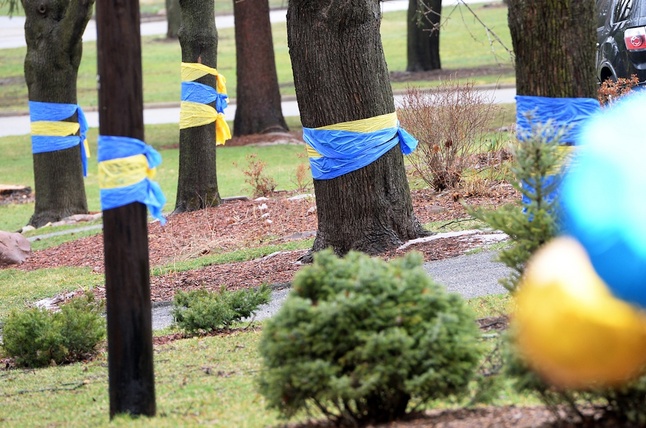beilein-block-baloons.jpg