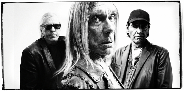 stooges-2013-David-Raccuglia.jpg