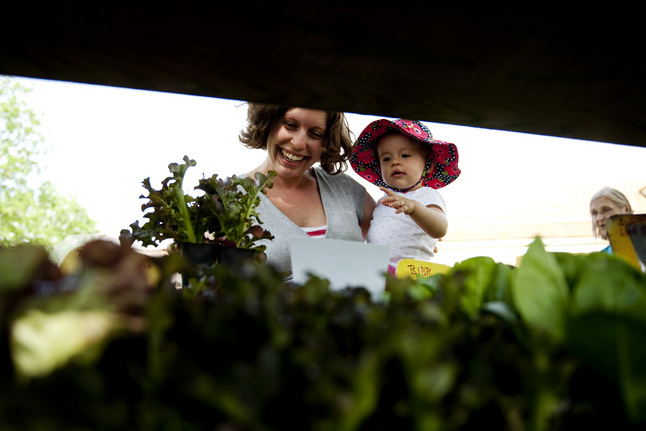 053013_Cobblestone-Farmers-Market.JPG