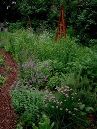 garden.jpg