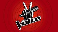 TheVoice__120514164814.jpg