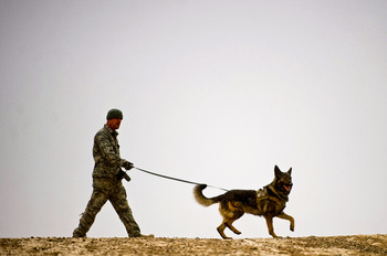 mwd2013usarmy.jpg