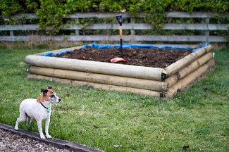 pbkweedoggarden.jpg