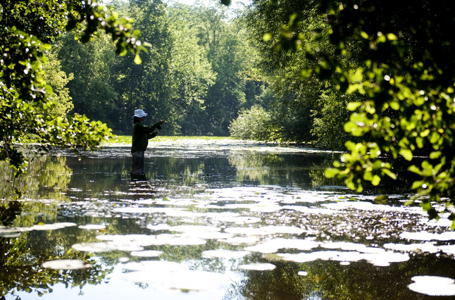 071413_Huron-River.JPG