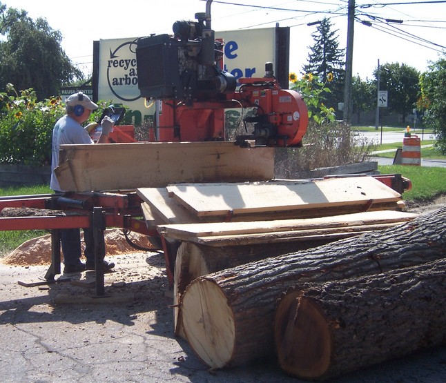 Sawmill_Day-1.jpg