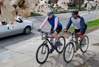 bikes-getDowntown.jpg