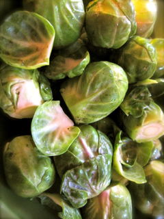 lampman; brussel sprouts