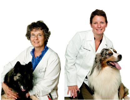 Dr. Franklin and  Dr. Clark