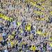 Michigan fans do the wave during the football game against Eastern Michigan at Michigan Stadium on Saturday. Angela J. Cesere | AnnArbor.com