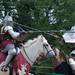 Sir Robert of Wells, left, and Sir Tirant of Kent, put on a jousting performance as part of the Saline Celtic Festival at Mill Pond Park. Angela J. Cesere | AnnArbor.com 