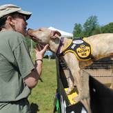 Images from Walk & Wag 2012