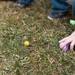 Kids collect as many Easter eggs as possible during the Jaycees Easter Egg Scramble at Frog Island Park in Ypsilanti on Saturday, March 23. Courtney Sacco I AnnArbor.com 