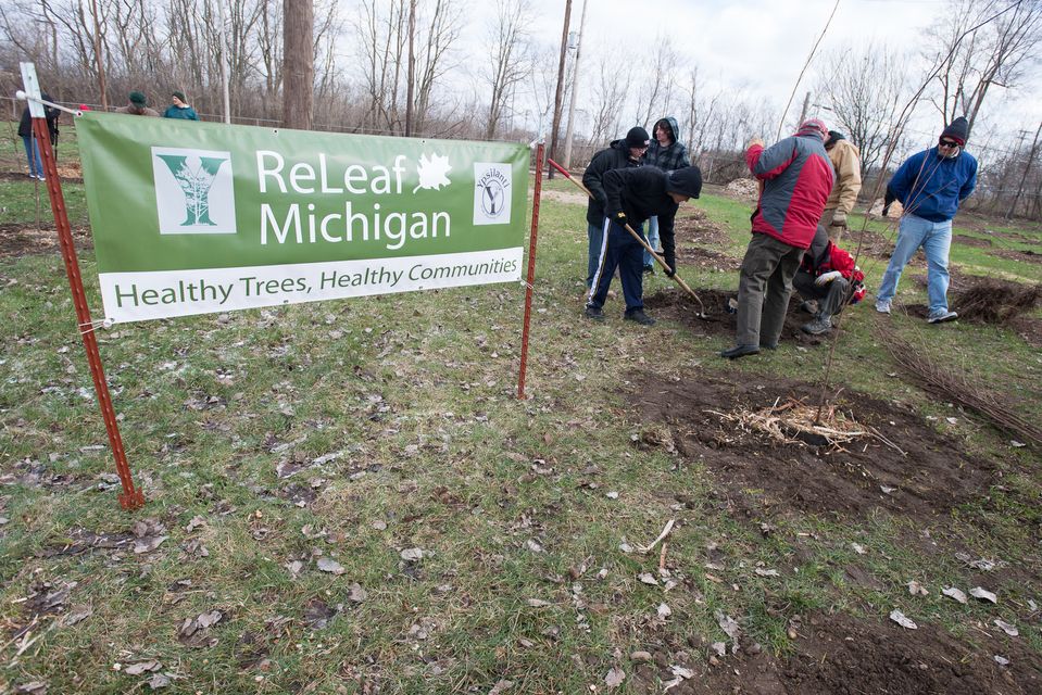 Volunteers gather to plant 500 trees along Water Street