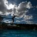 A 15-and-under diver jumps off the board during the third  day of the WISC championships at the Huron Valley Swim Club in Ann Arbor, Wednesday, July 24.
Courtney Sacco I AnnArbor.com     
