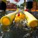 The first 10 rubber ducks to enter the chutes win the Ypsilanti Heritage Festival duck race, Sunday, August 18.
Courtney Sacco I AnnArbor.com   
