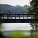 A runner goes over a bridge at Gallup Park during the 5k on Sunday, July 14. Daniel Brenner I AnnArbor.com