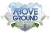Above Ground Hair Design