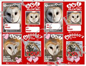 Barn Owl Valentine