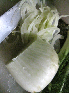 lammpman, fennel