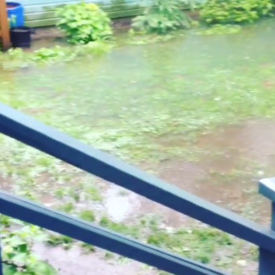 floodvid5.png