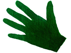 greenhand.jpg
