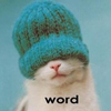 user-pic