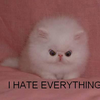 user-pic