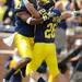 Michigan sophomore wide reciever Drew Dileo and sophomore wide receiver Jeremy Gallon celebrate after Dileo's touchdown during the football game against Eastern Michigan at Michigan Stadium on Saturday. Angela J. Cesere | AnnArbor.com