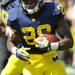 Michigan sophomore running back Fitzgerald Toussaint runs with the ball during the football game against Eastern Michigan at Michigan Stadium on Saturday. Angela J. Cesere | AnnArbor.com