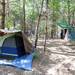Tents set up at Camp Take Notice on May 30, 2012. Angela J. Cesere | AnnArbor.com