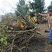 Dennis Linder throws brush on a pile of burning trees that were damaged after the tornado stuck his property along Dexter-Pinckney road. Some of the trees on the pile are from trees that he planted previously in his yard. Angela J. Cesere | AnnArbor.com
