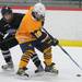  Pioneer defenseman Garrette Helber, left, tries to get the puck from Saline forward Antonio Diaz. Angela J. Cesere | AnnArbor.com
